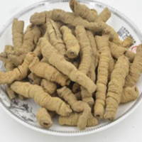 青藏珍稀药材行
