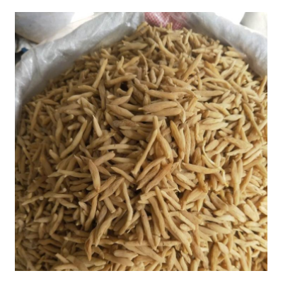 中药材麦冬