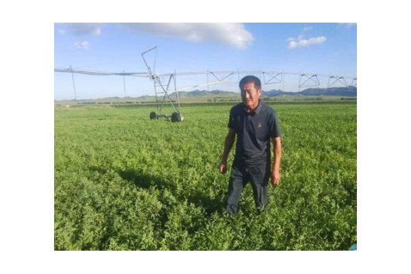 【最美家乡人】孙继海：种植